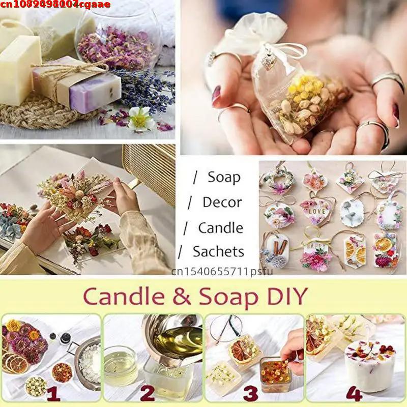 Bunga Kering Alami Berkualitas - Candle Making For Beginners ulasan dan harga